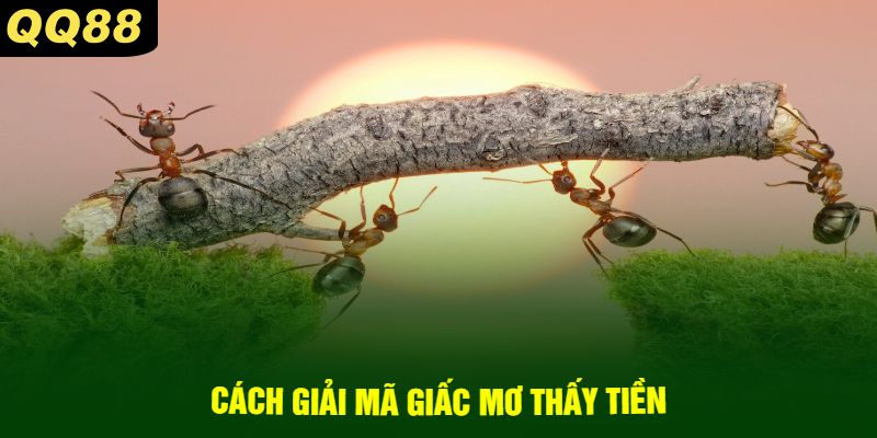Ý Nghĩa Về Giấc Mơ Thấy Kiến QQ88